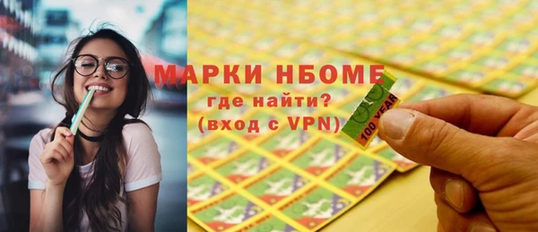 соль ск Ельня