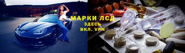 соль ск Ельня