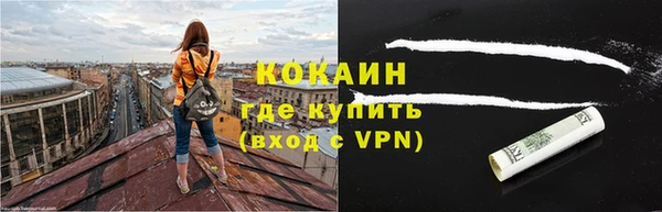 PSILOCYBIN Дмитриев