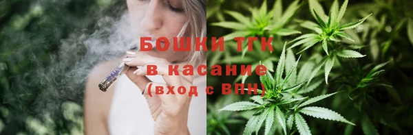 гашик Дмитровск