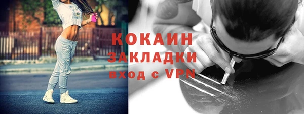 PSILOCYBIN Дмитриев