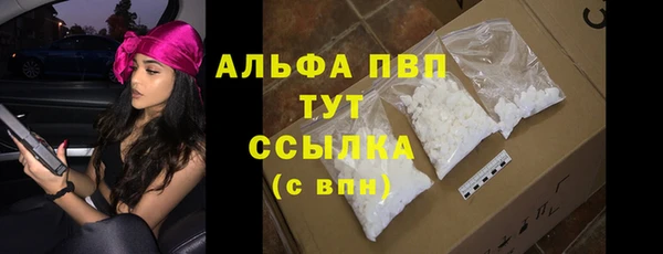 PSILOCYBIN Дмитриев