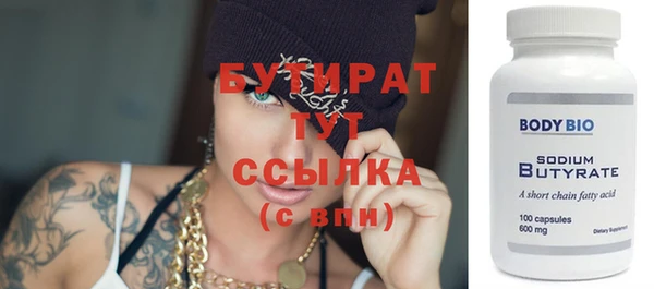 соль ск Ельня