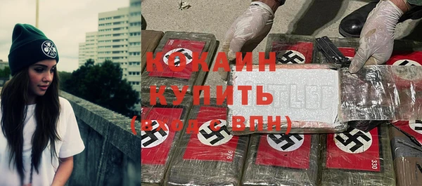 PSILOCYBIN Дмитриев