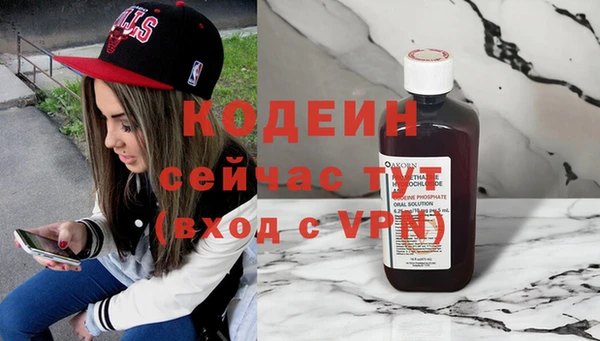 соль ск Ельня