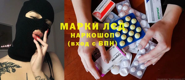 PSILOCYBIN Дмитриев