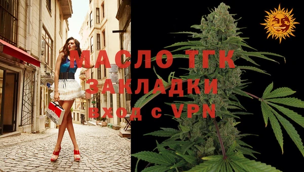 соль ск Ельня