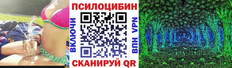 Купить закладки  Миллерово  Псилоцибиновые грибы Psilocybine cubensis 